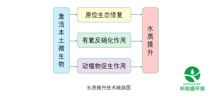 六会资料免费资料大全