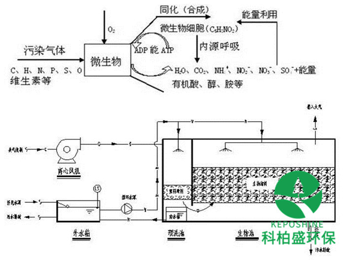 六会资料免费资料大全